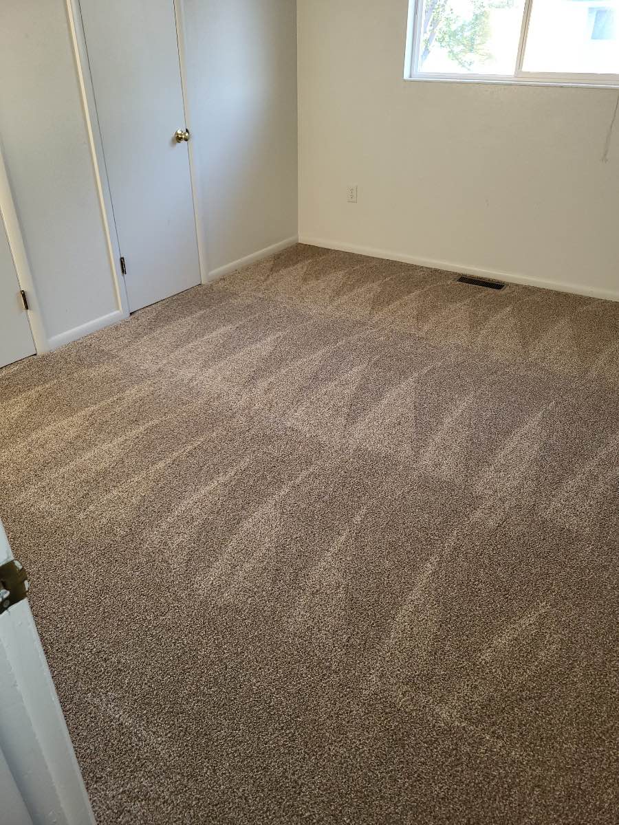 Alpha And Omega Cleaned Carpet